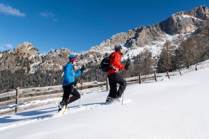 Vacanze sciistiche Dolomiti 03