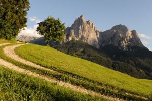 Hiking holidays in South Tyrol 03