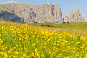 Hiking holidays in South Tyrol 10