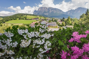 Vacanze escursionistiche in Alto Adige 06